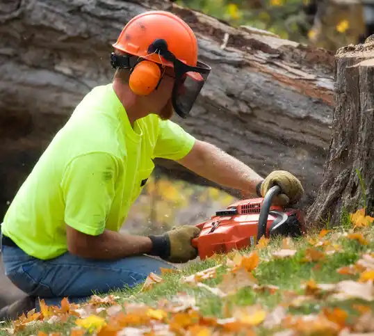 tree services Fair Bluff